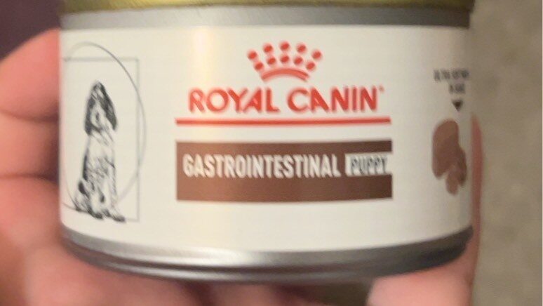 Gastrointestinal puppy - Product - en