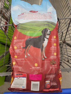 Purina One Adult Chicken and Rice Dog Food - 2