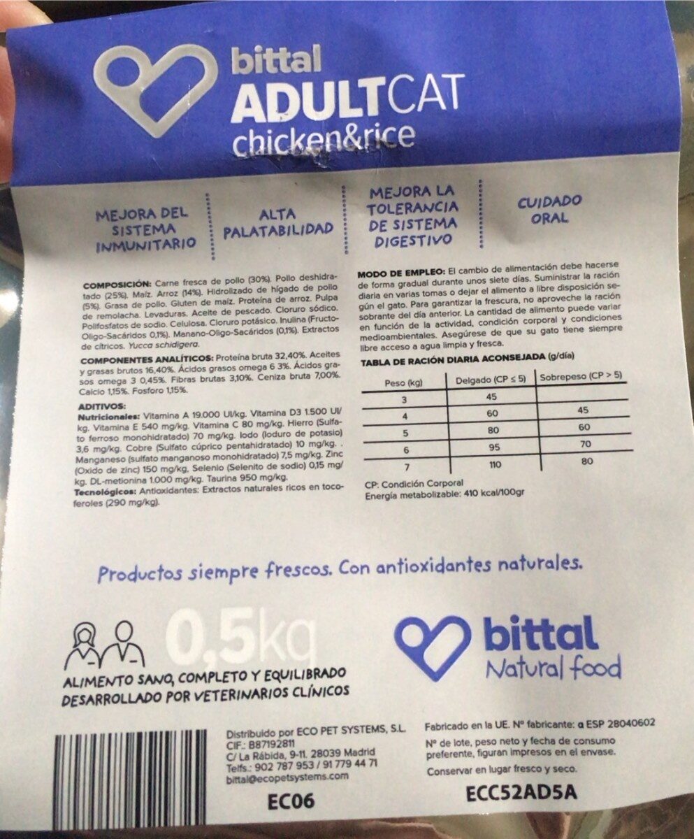 Adult cat - Product - es