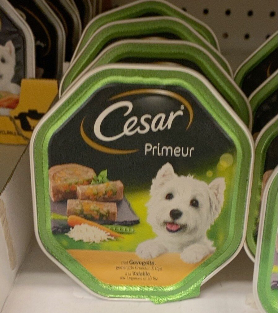 Cesar primeur - Product - fr