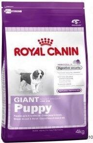 SHN Giant Puppy - Product - fr