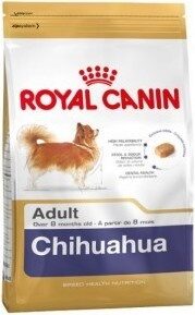 SHN Breed Chihuahua - Product - fr
