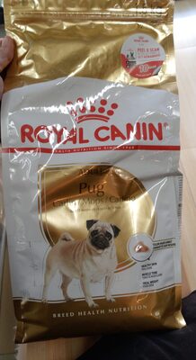 Adult pug/carlin/mops - Product - en