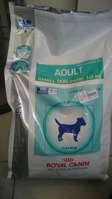 Adult - Small dog under 10 k - Produit