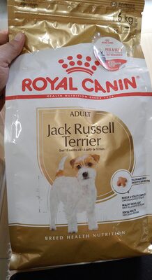 Jack Russell terrier - Product