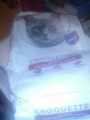 Croquette pour chat - Product - fr
