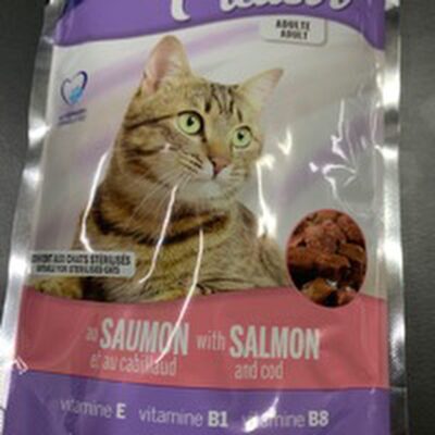 ushqim mace - Product