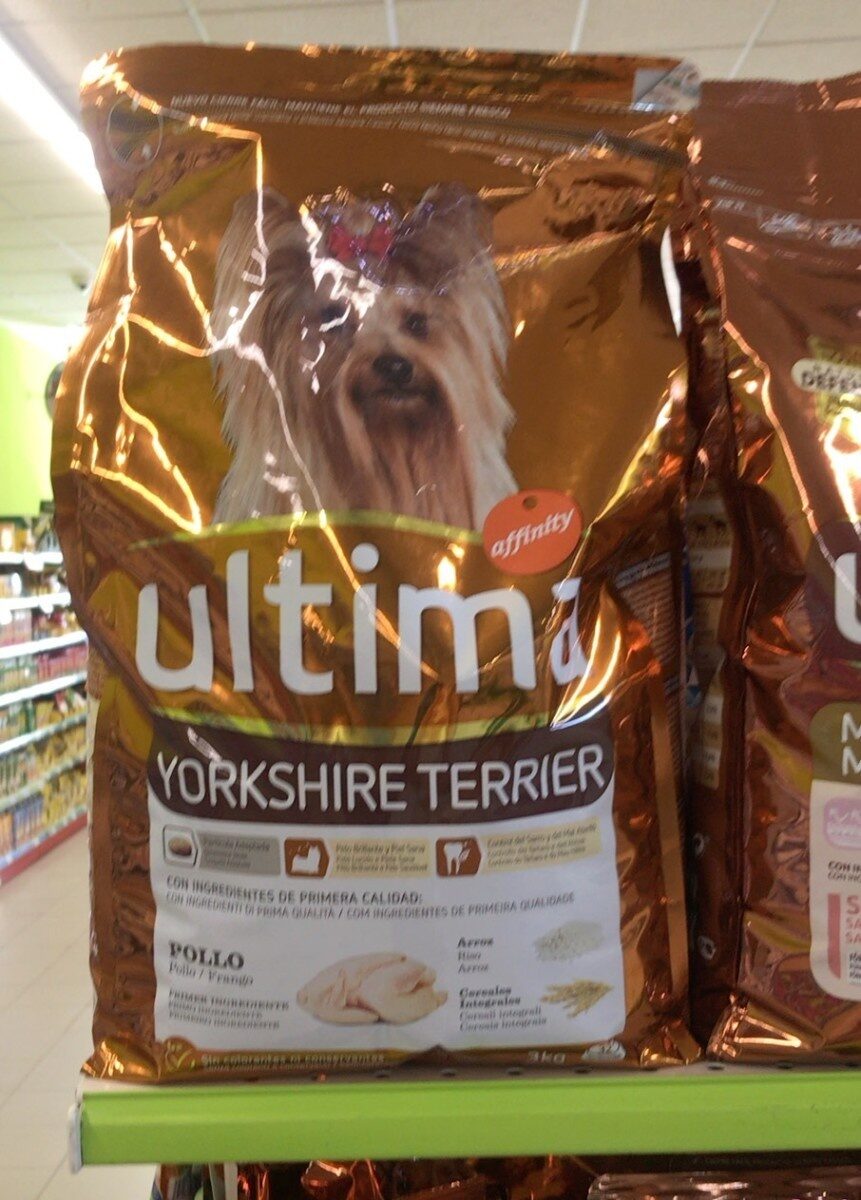 Ultima yorkshire terrier - Product - es
