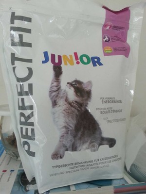 perfect junior - 1