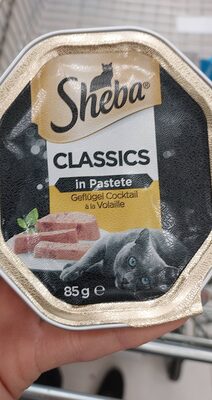Cat - Product