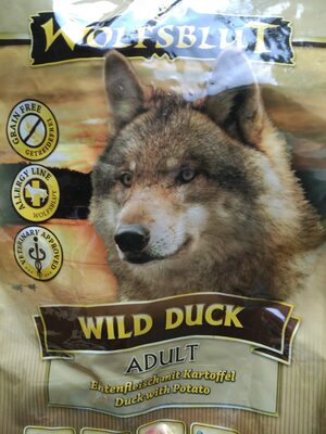 Wild Duck Adult - 1