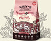 Lily's Kitchen Puppy Chicken With Salmon - Product