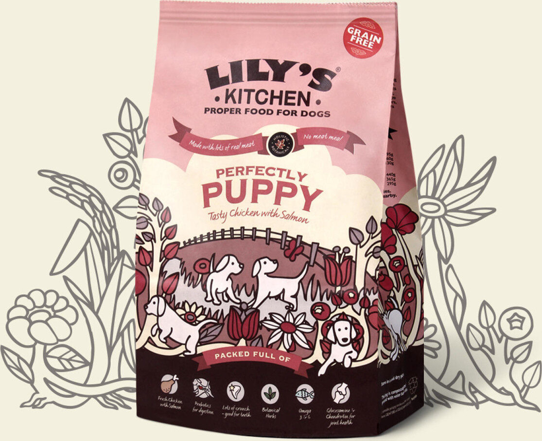 Lily's Kitchen Puppy Chicken With Salmon - Produit - fr