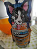 doggyrade isotonica drink - Product