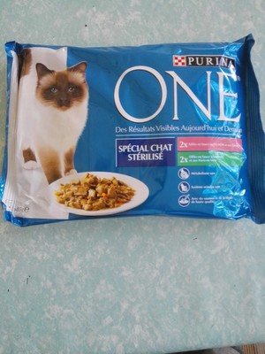 one purina  spécial chat - 1