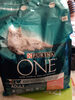 Purina ONE Adult - Product