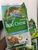 Alimento cão Dog chow bem estar 1kg filhotes - Product