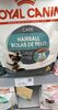 Royal canin gatos 1,5 kg hairball - Product