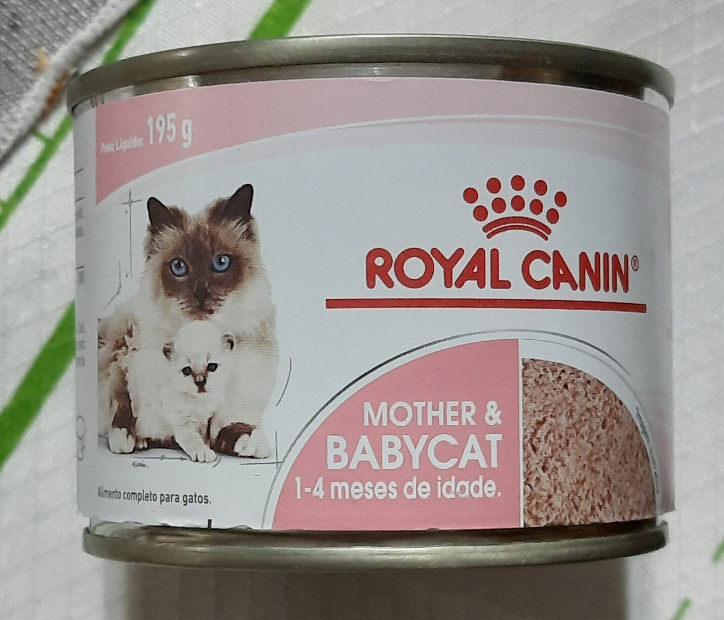 Mother & Babycat - Product - pt