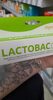 Lactodog - Product