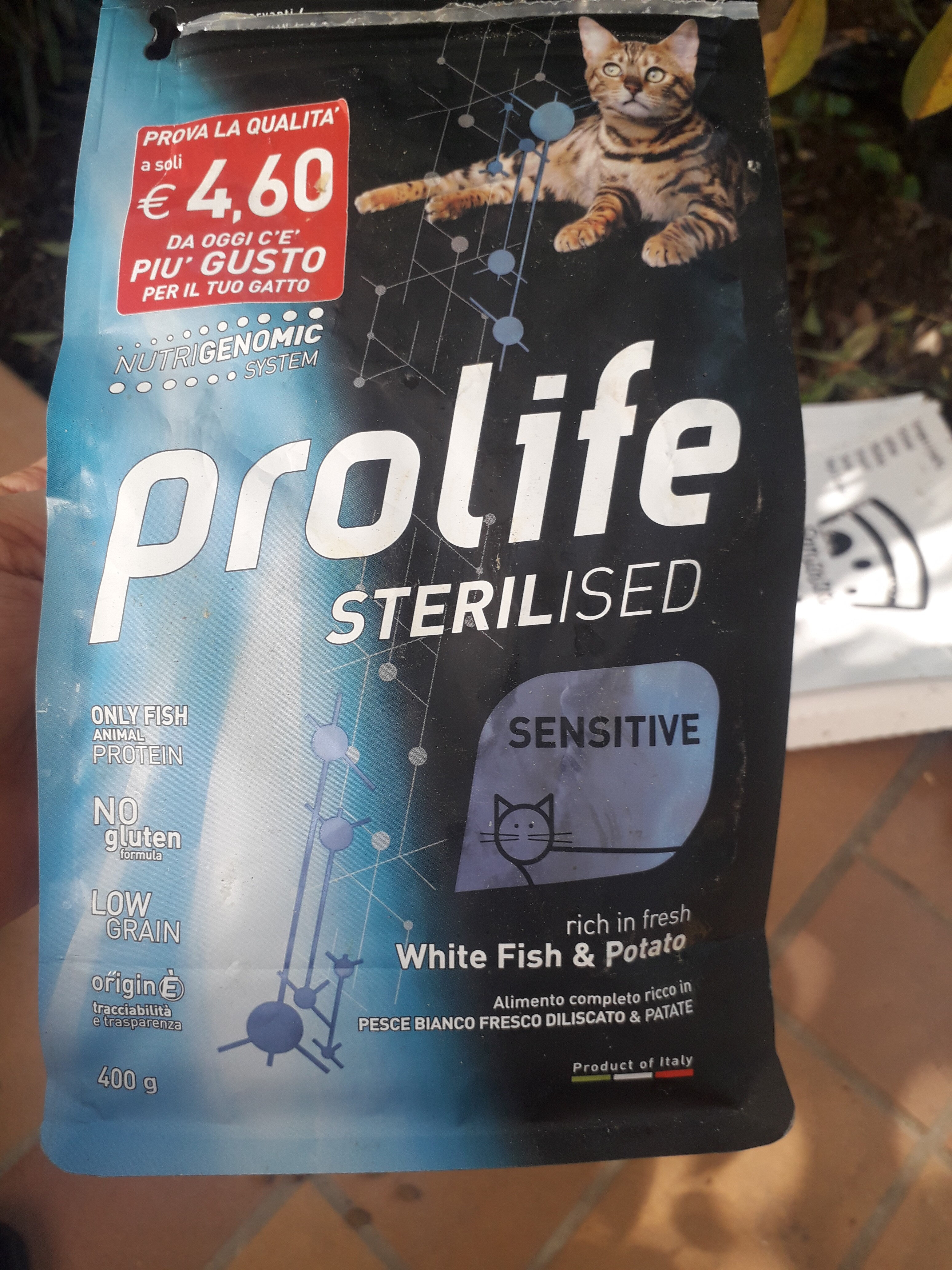 prolife - Product - it