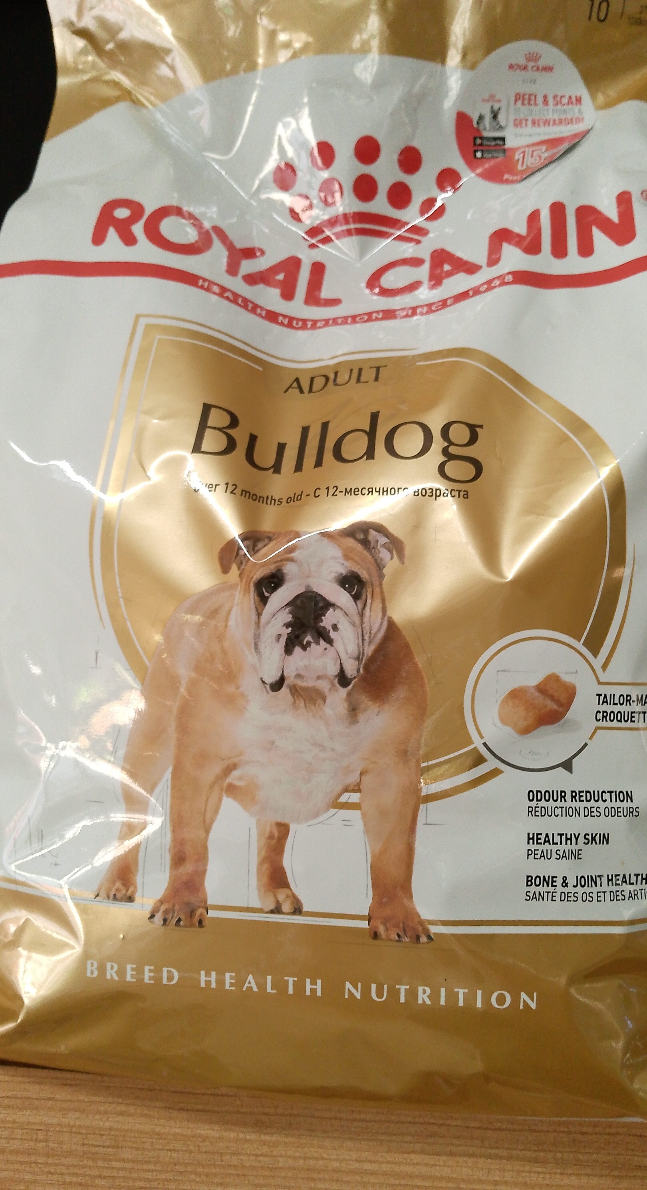 Adult bulldog - Product - en