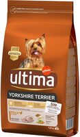 Ultima yorkshire terrier - Product - es