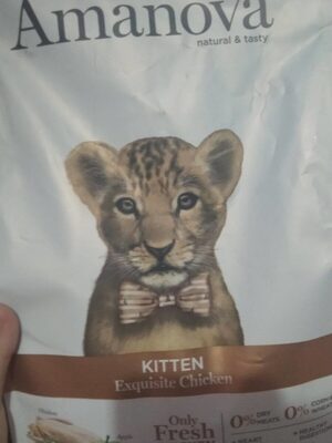 Kitten - Product - es