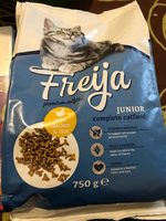 Premium catfood junior - Produit - fr