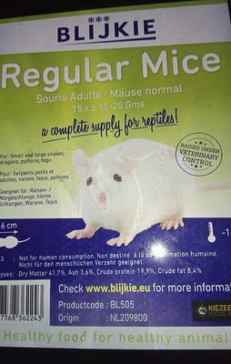 Souris Blanches Adultes - 1