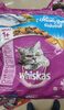 Whiskas 1+ 3Kg - Product