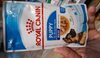 Royal canin pouch puppy maxi - Product