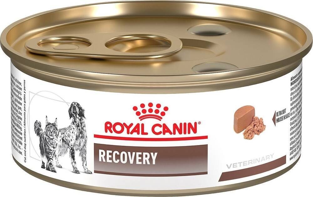 Katzenfutter Royal Canin Recovery - Produit - de