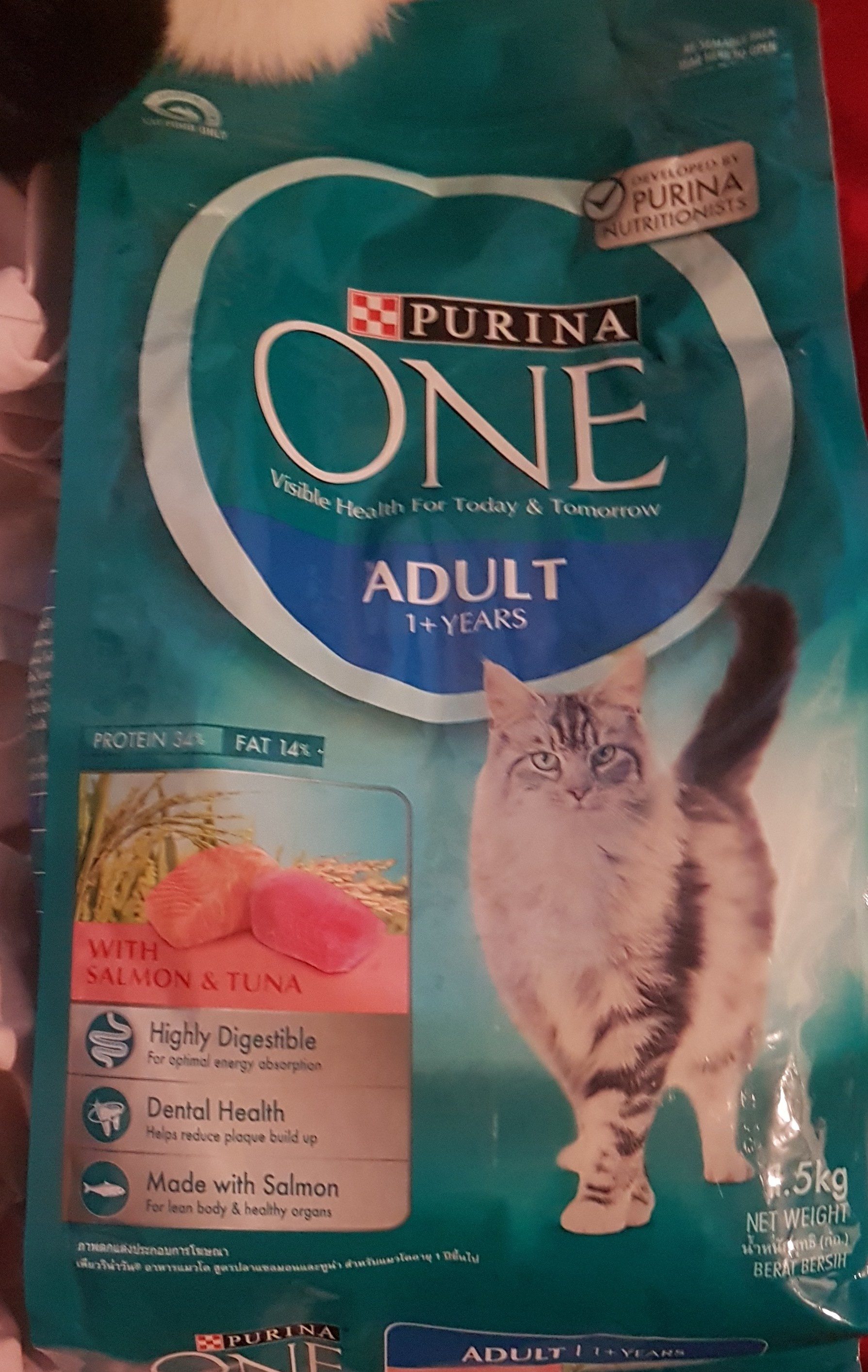 PURINA ONE Adult Cat Food with Salmon and Tuna - Product - en
